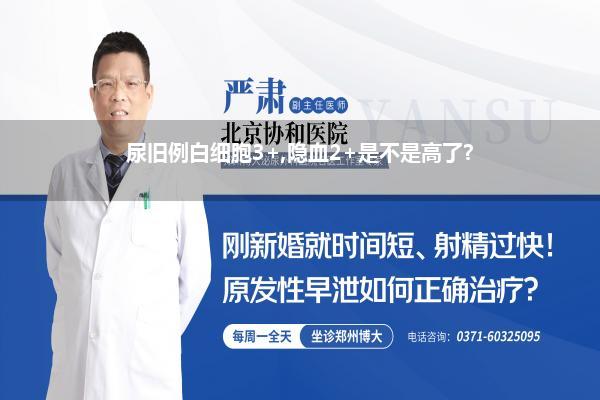 尿旧例白细胞3+,隐血2+是不是高了?